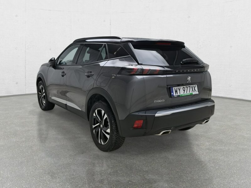 Peugeot 2008 II (2019-)