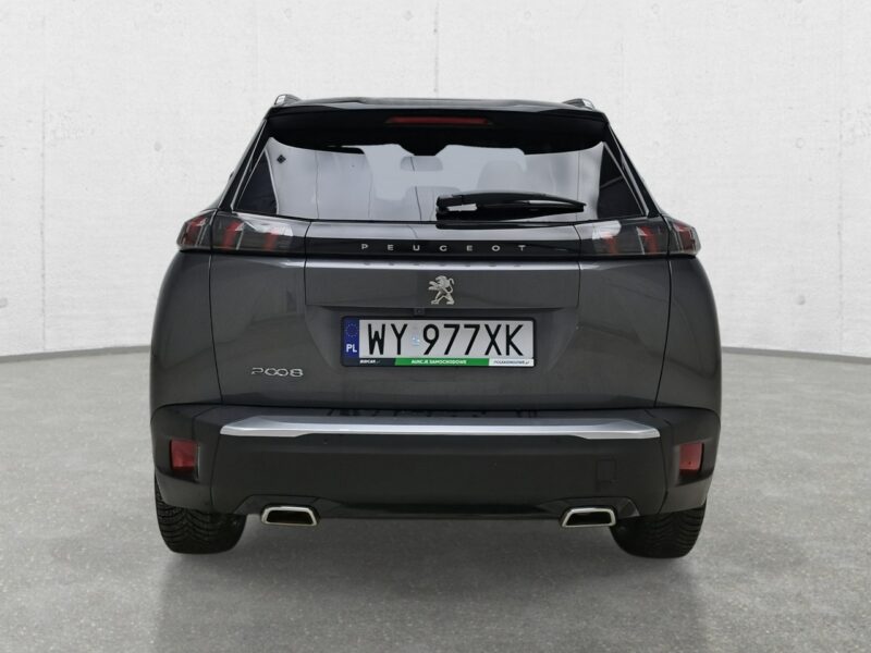 Peugeot 2008 II (2019-)