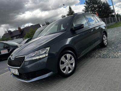 Škoda Fabia Skoda Fabia III 1.0MPI Lift 2019r Led Klimatyzacja Serwis Nawigacja! III (2014-)