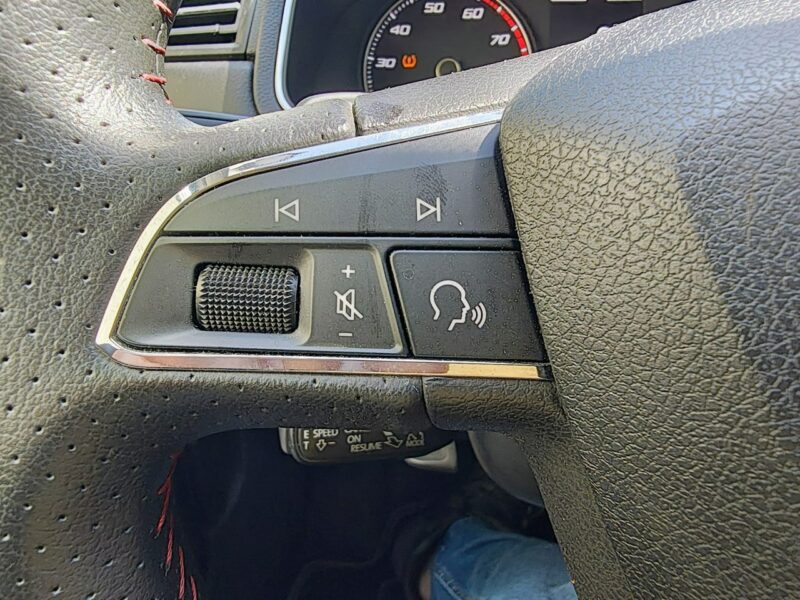 Seat Ibiza V (2017-)