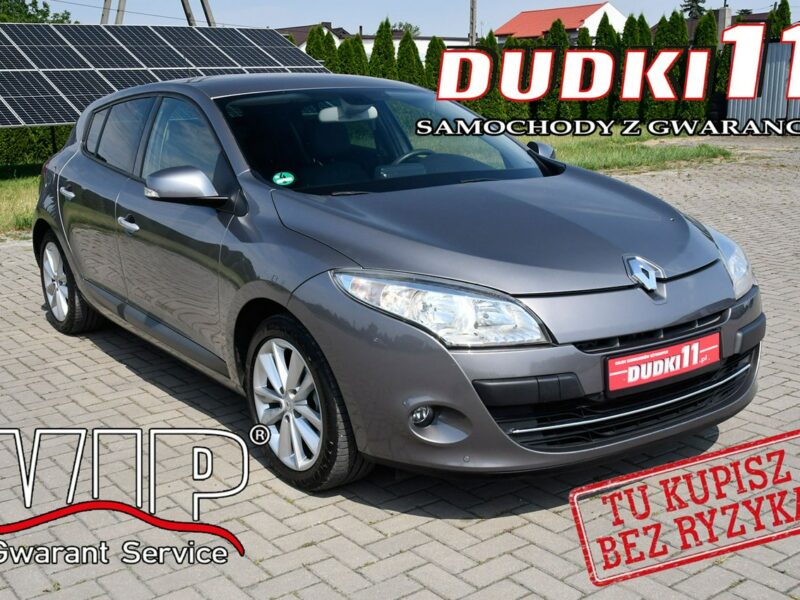 Renault Megane 1.9dci DUDKI11 Serwis,Navi.Skóry.Klimatr 2 str.Parktronic,kredyt.Okazj III (2008-2016)