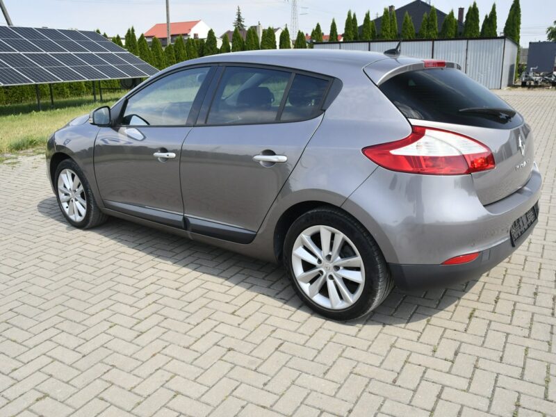Renault Megane 1.9dci DUDKI11 Serwis,Navi.Skóry.Klimatr 2 str.Parktronic,kredyt.Okazj III (2008-2016)