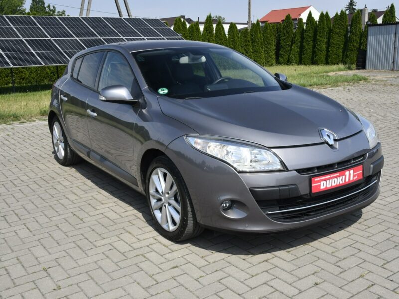 Renault Megane 1.9dci DUDKI11 Serwis,Navi.Skóry.Klimatr 2 str.Parktronic,kredyt.Okazj III (2008-2016)