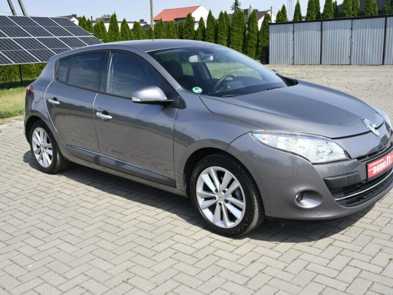 Renault Megane 1.9dci DUDKI11 Serwis,Navi.Skóry.Klimatr 2 str.Parktronic,kredyt.Okazj III (2008-2016)