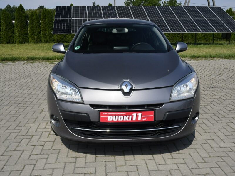 Renault Megane 1.9dci DUDKI11 Serwis,Navi.Skóry.Klimatr 2 str.Parktronic,kredyt.Okazj III (2008-2016)