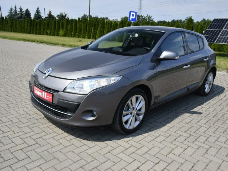Renault Megane 1.9dci DUDKI11 Serwis,Navi.Skóry.Klimatr 2 str.Parktronic,kredyt.Okazj III (2008-2016)