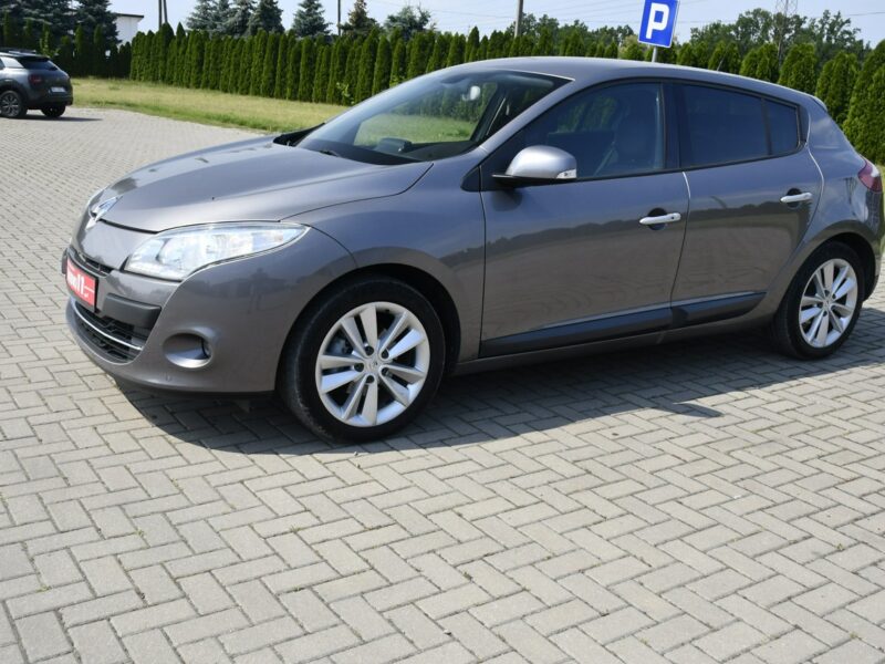 Renault Megane 1.9dci DUDKI11 Serwis,Navi.Skóry.Klimatr 2 str.Parktronic,kredyt.Okazj III (2008-2016)