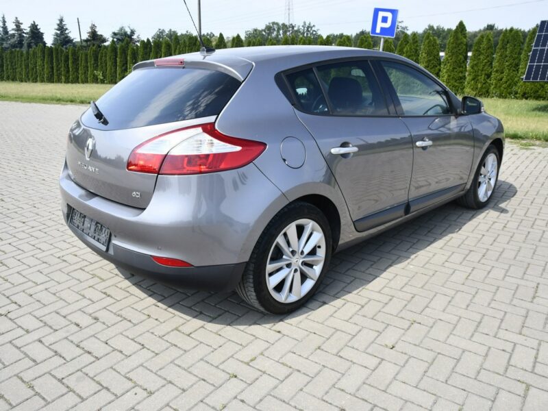 Renault Megane 1.9dci DUDKI11 Serwis,Navi.Skóry.Klimatr 2 str.Parktronic,kredyt.Okazj III (2008-2016)