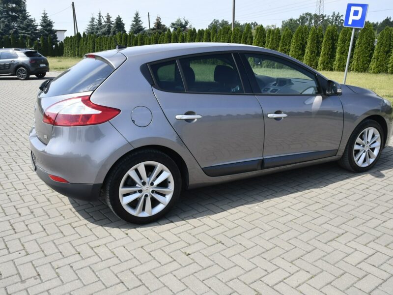 Renault Megane 1.9dci DUDKI11 Serwis,Navi.Skóry.Klimatr 2 str.Parktronic,kredyt.Okazj III (2008-2016)