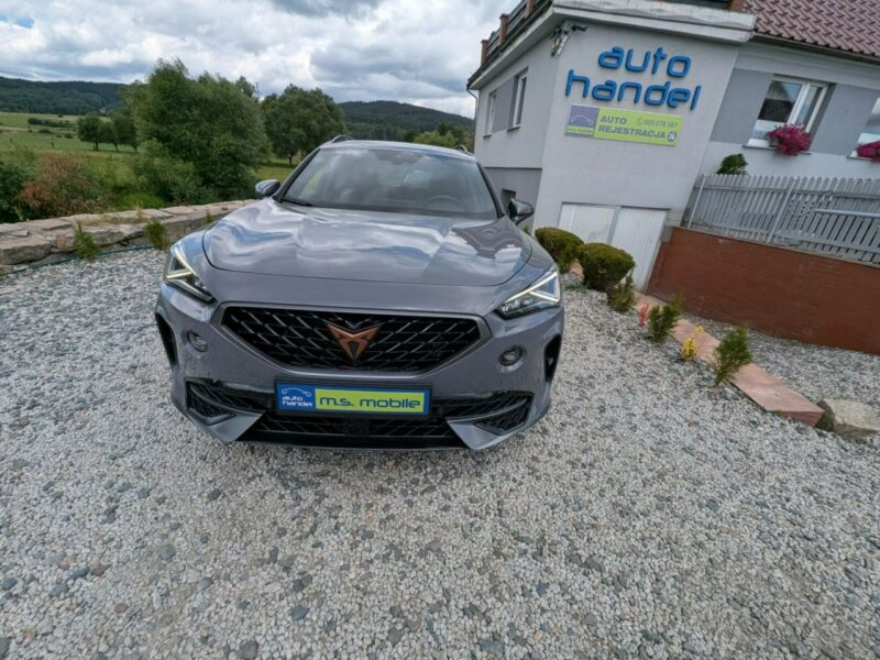Cupra Formentor 2.0 TDI, ambiente 4X4