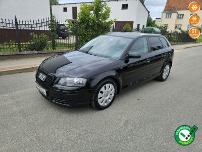 Audi A3 Opłacony Zdrowy Zadbany Serwisowany 1 Wł Po Serwisie 8P (2003-2012)