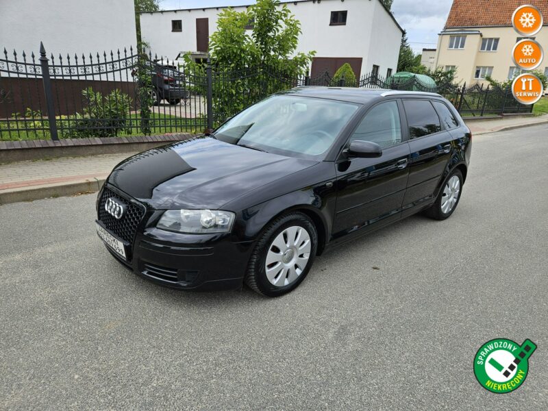 Audi A3 Opłacony Zdrowy Zadbany Serwisowany 1 Wł Po Serwisie 8P (2003-2012)