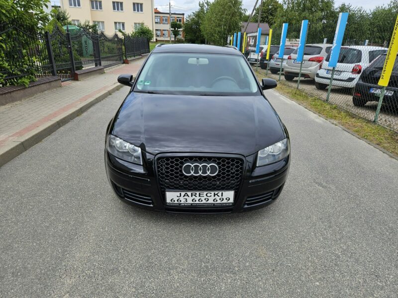 Audi A3 Opłacony Zdrowy Zadbany Serwisowany 1 Wł Po Serwisie 8P (2003-2012)