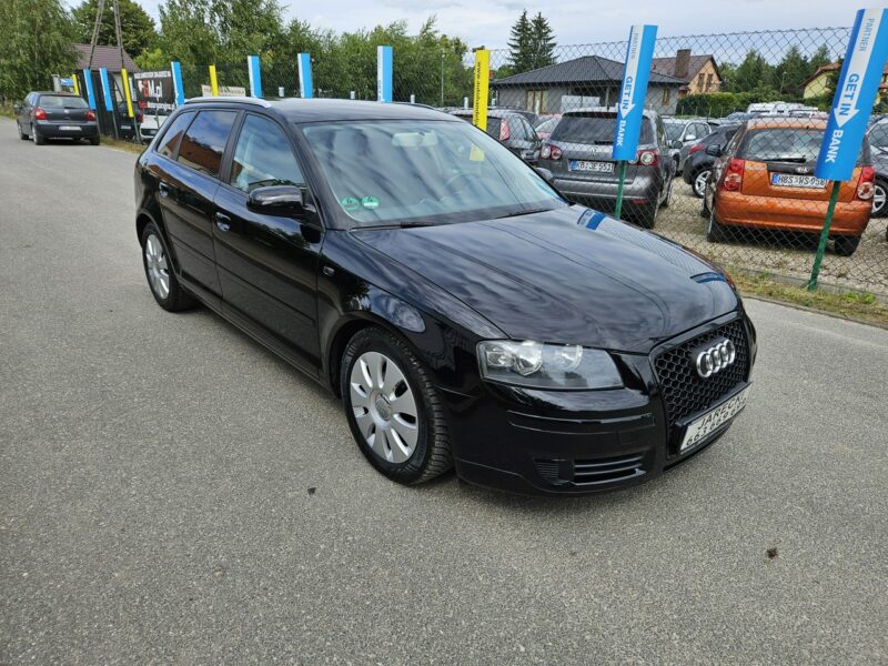 Audi A3 Opłacony Zdrowy Zadbany Serwisowany 1 Wł Po Serwisie 8P (2003-2012)