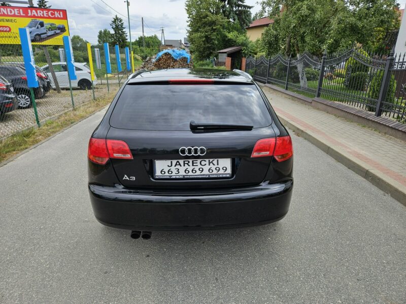 Audi A3 Opłacony Zdrowy Zadbany Serwisowany 1 Wł Po Serwisie 8P (2003-2012)