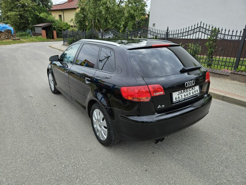 Audi A3 Opłacony Zdrowy Zadbany Serwisowany 1 Wł Po Serwisie 8P (2003-2012)