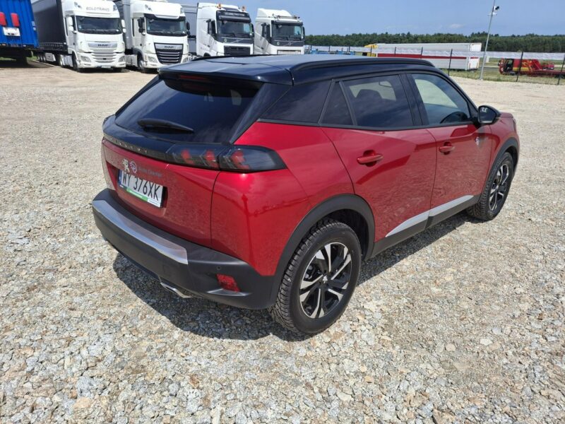 Peugeot 2008 II (2019-)
