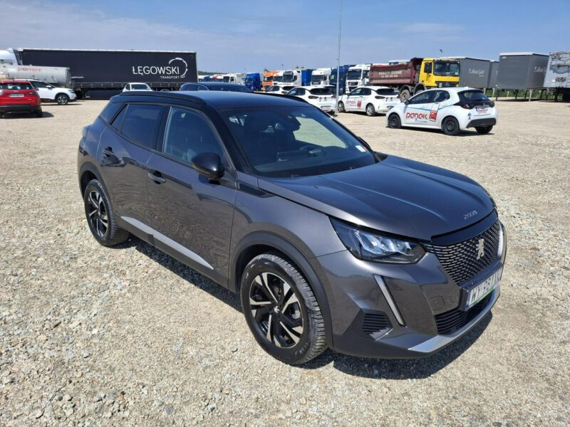 Peugeot 2008 II (2019-)