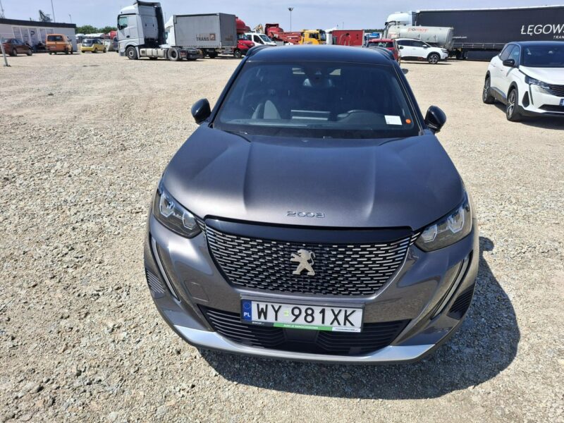 Peugeot 2008 II (2019-)