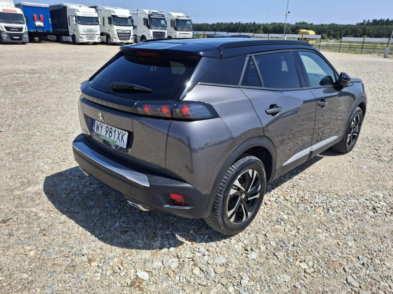 Peugeot 2008 II (2019-)