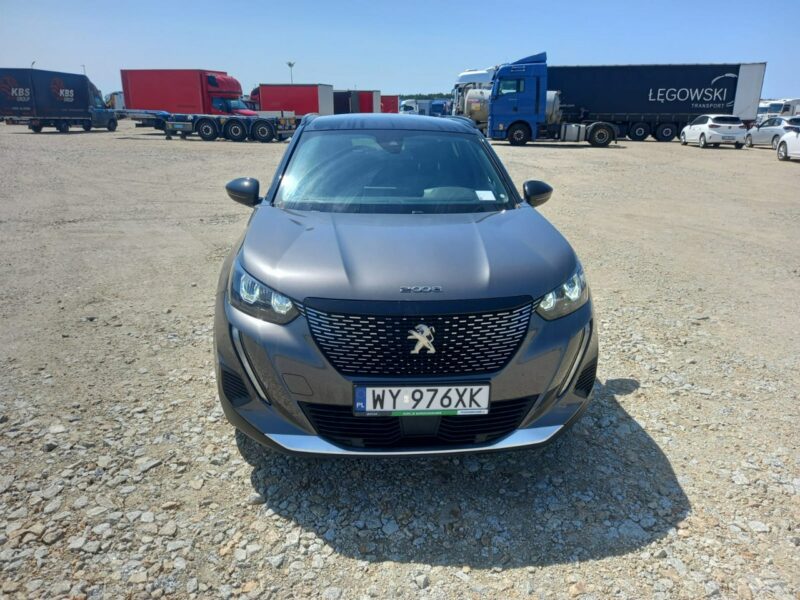 Peugeot 2008 II (2019-)