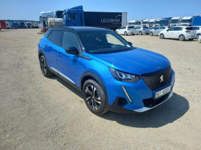 Peugeot 2008 II (2019-)