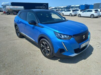 Peugeot 2008 II (2019-)