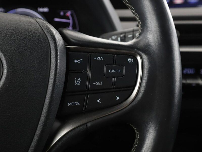 Lexus UX Executive Line alcantara navi ACC LED PDC-kamera