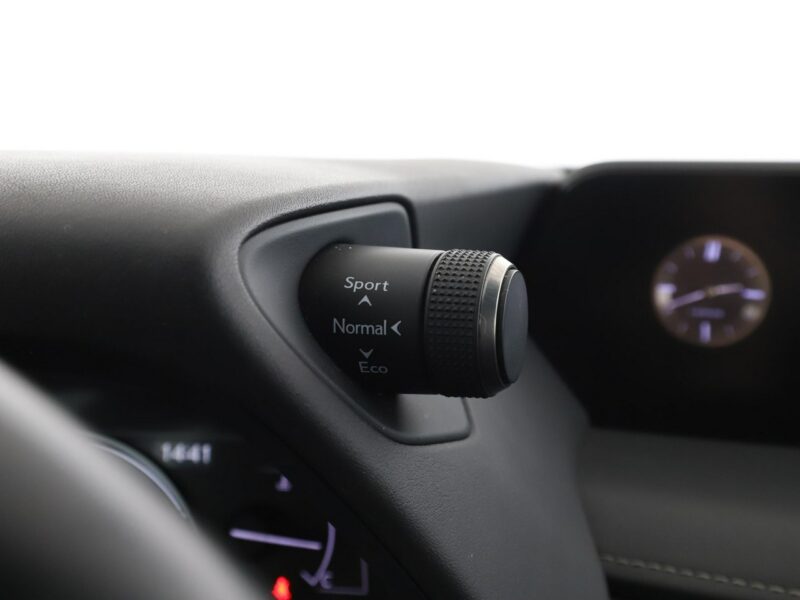 Lexus UX Executive Line alcantara navi ACC LED PDC-kamera