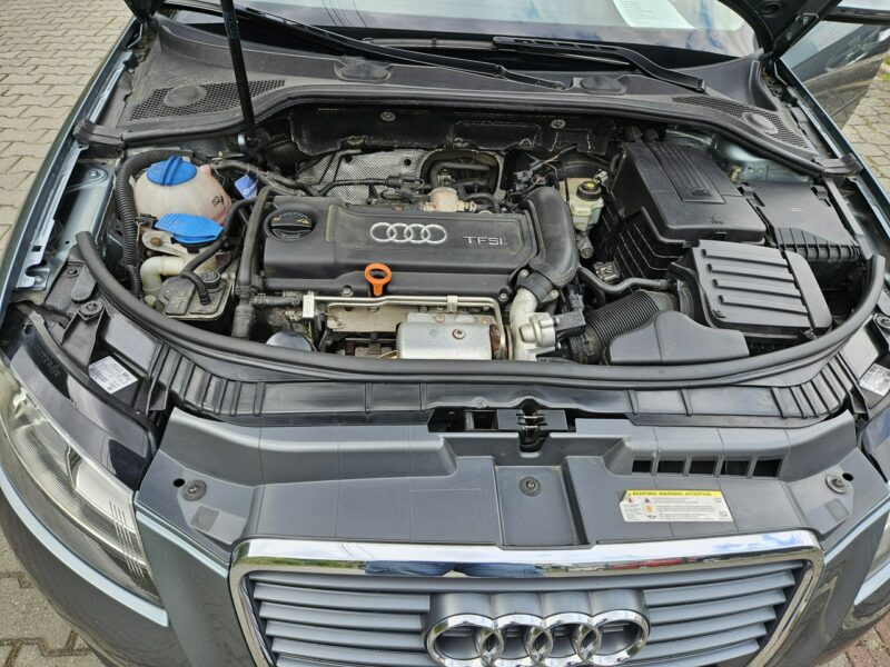 Audi A3 Po Lifcie / Klima 2 strefowa / Po rozrządzie / Tempomat / 6 Biegów 8P (2003-2012)