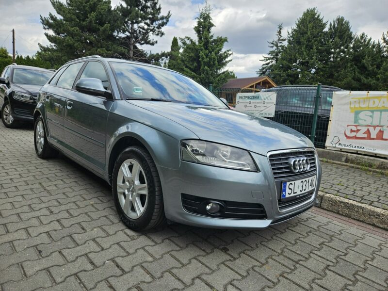 Audi A3 Po Lifcie / Klima 2 strefowa / Po rozrządzie / Tempomat / 6 Biegów 8P (2003-2012)