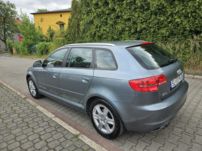 Audi A3 Po Lifcie / Klima 2 strefowa / Po rozrządzie / Tempomat / 6 Biegów 8P (2003-2012)