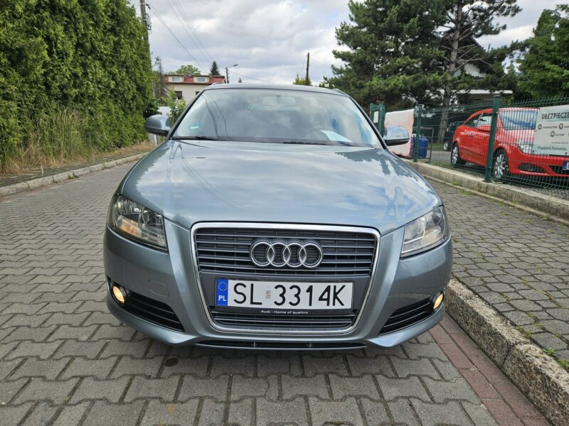 Audi A3 Po Lifcie / Klima 2 strefowa / Po rozrządzie / Tempomat / 6 Biegów 8P (2003-2012)