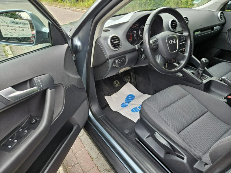 Audi A3 Po Lifcie / Klima 2 strefowa / Po rozrządzie / Tempomat / 6 Biegów 8P (2003-2012)