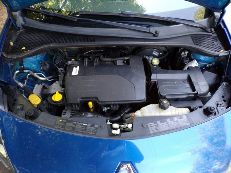 Renault Clio Klimatyzacja /I właść /Gwarancja /1,2 /74KM/2010 III (2005-2012)