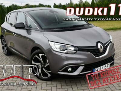 Renault Scenic 1,2Turbo Ledy.Navi.Hak.Kam.Cof.Tempomat.BOSE>Serwis.OKAZJA IV (2016-)