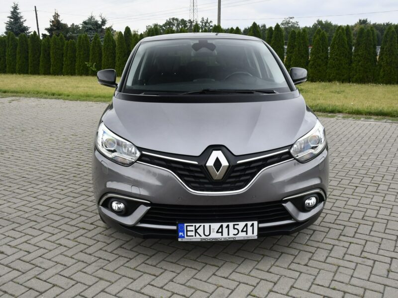 Renault Scenic 1,2Turbo Ledy.Navi.Hak.Kam.Cof.Tempomat.BOSE>Serwis.OKAZJA IV (2016-)