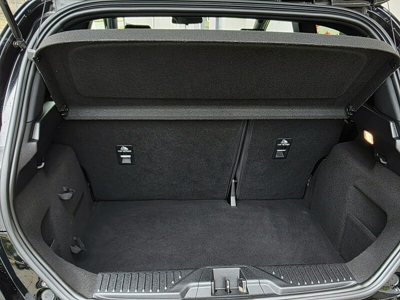 Ford Fiesta serwis ASO, ST-Line Mk8 (2017-)